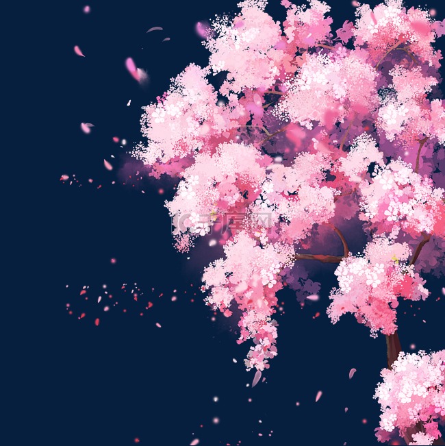 樱花树花瓣