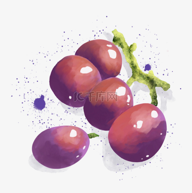 夏季水果水彩葡萄提子
