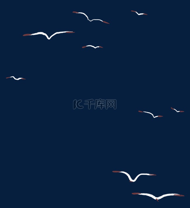 海鸥海鸟动物