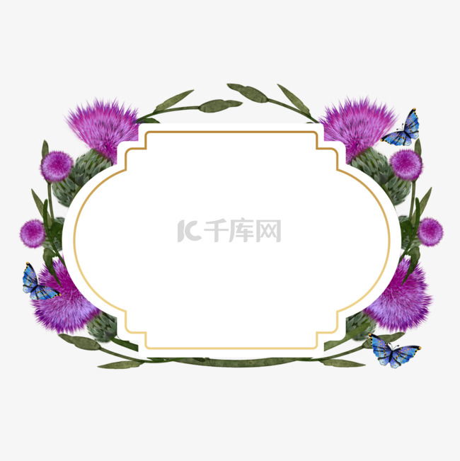蓟花卉紫色植物边框