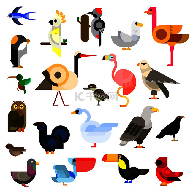 猫头鹰和老鹰、燕子和蜂鸟、鹦鹉