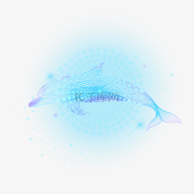 星海海洋动物数字概念蓝海豚