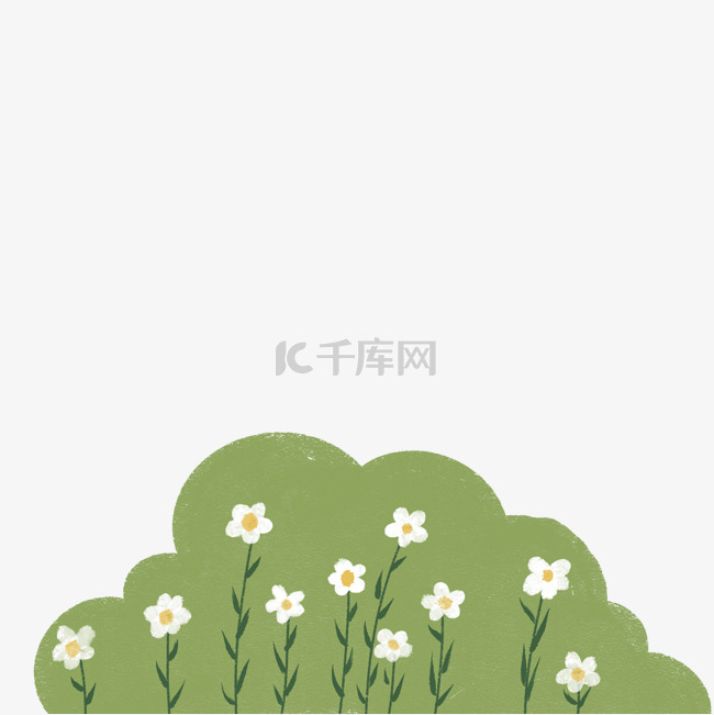 春天绿色草丛小花碎花白花花丛植