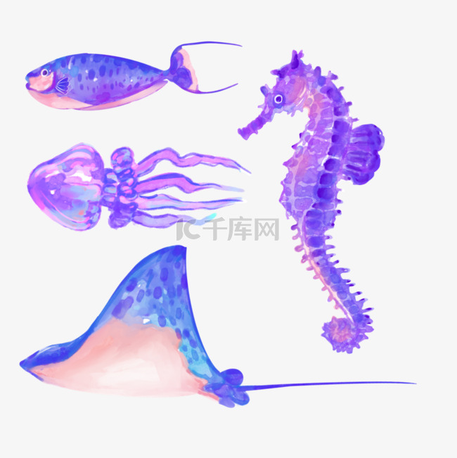 水彩海洋生物海鱼海马