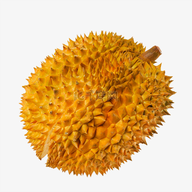 金枕榴莲热带水果