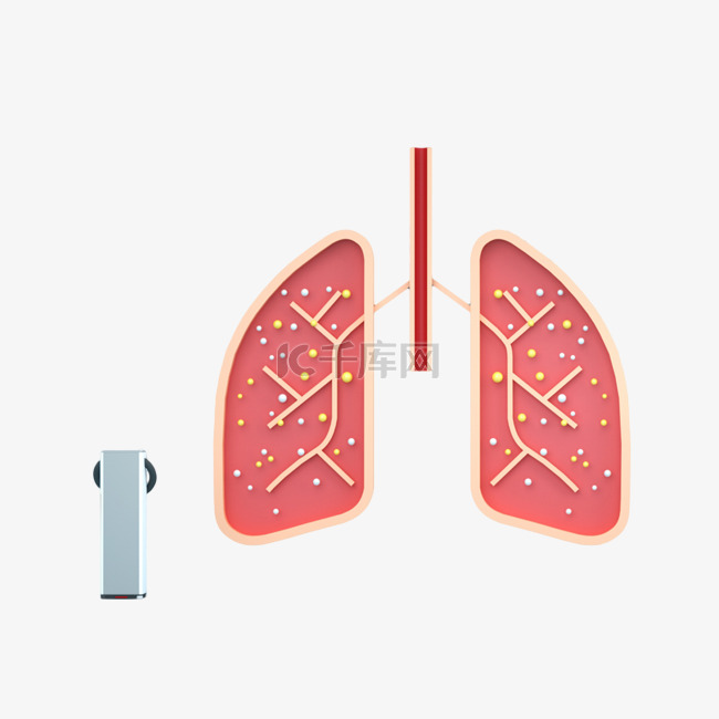 医疗人体肺部