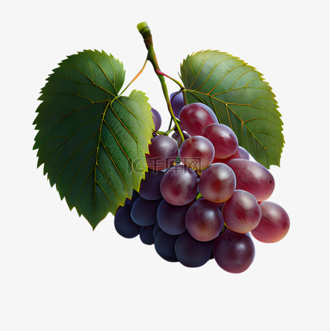 水果紫色葡萄提子