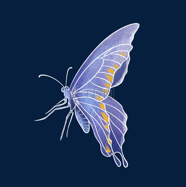 水彩动物蓝色蝴蝶