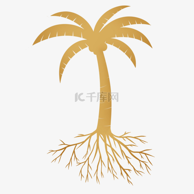 椰子树和树根的剪影