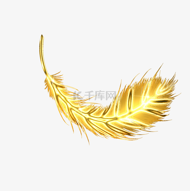 弯曲的金色羽毛