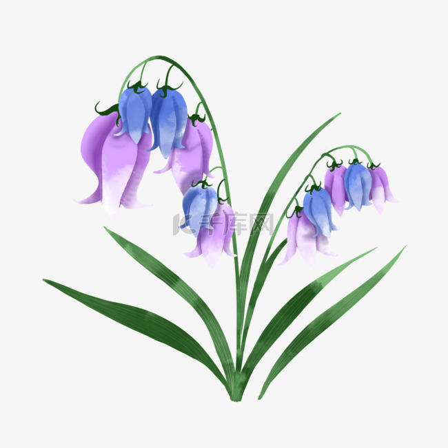 浅紫色水彩婚礼花卉花朵