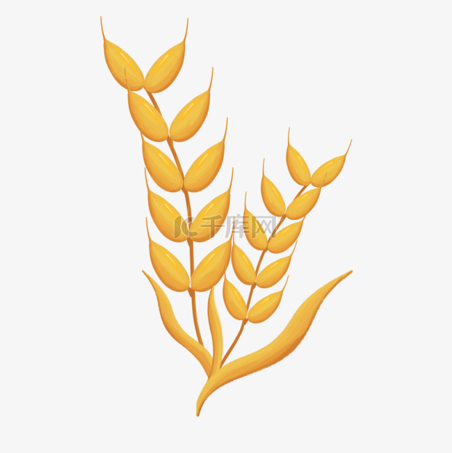 小麦麦穗黄色剪贴画
