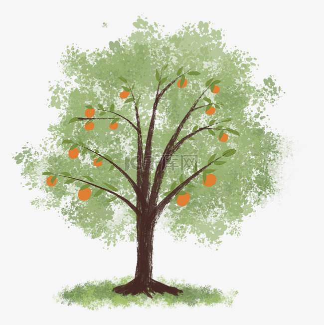 手绘丰收橘子树树木水果果树植物