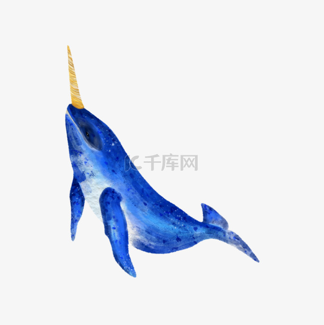 独角鲸深海生物蓝色
