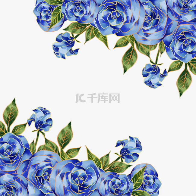 蓝色植物玫瑰花蓝金花朵花卉