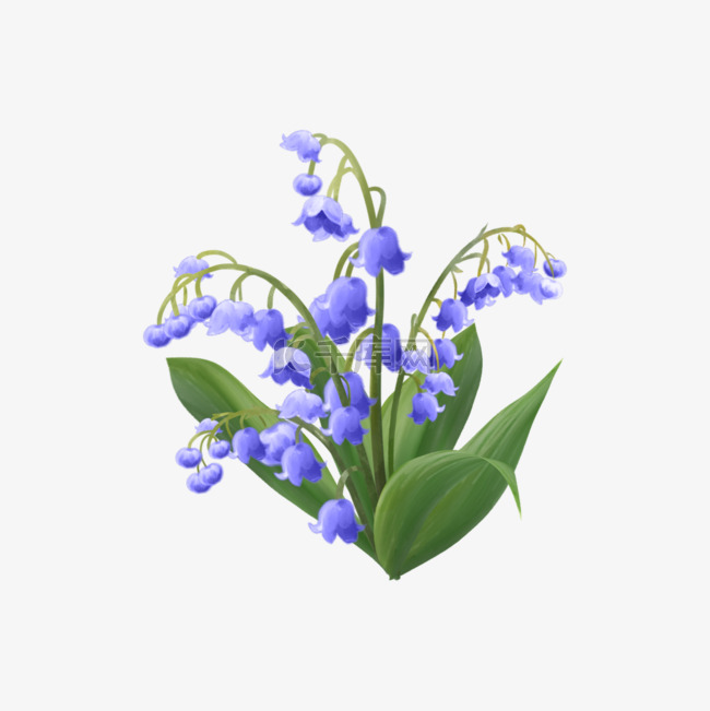 蓝色铃兰花婚礼花卉