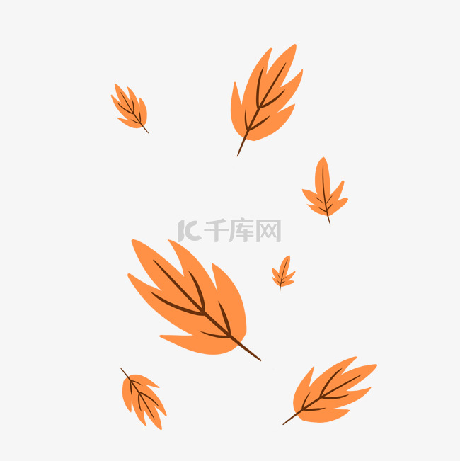 秋天枫叶飘落树叶