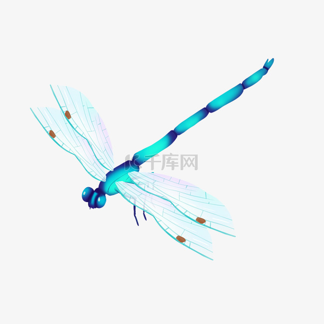 蓝色蜻蜓昆虫
