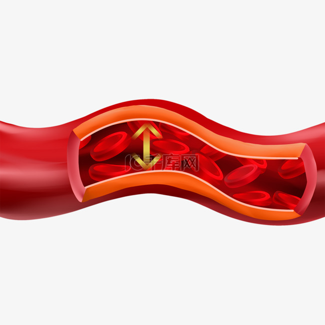 人体血管医学血压插图