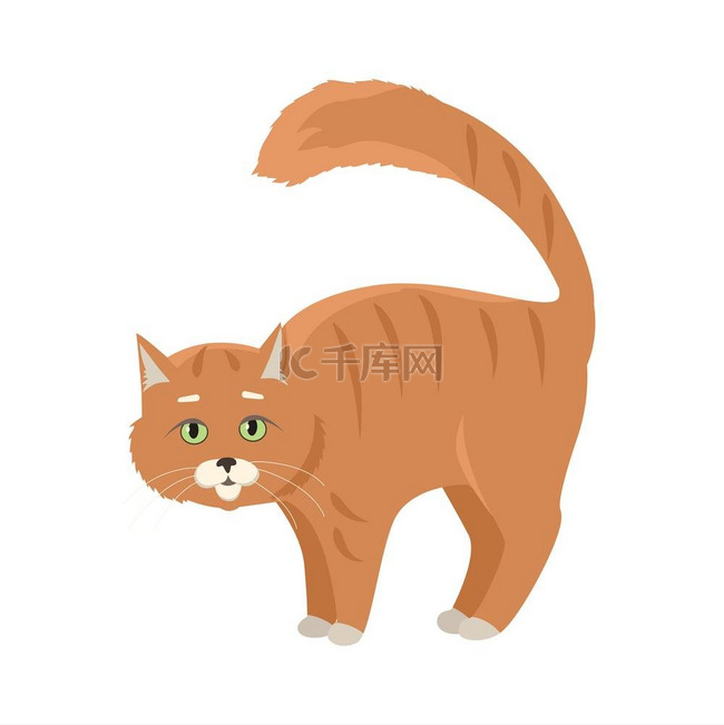 红猫矢量平面设计插画。
