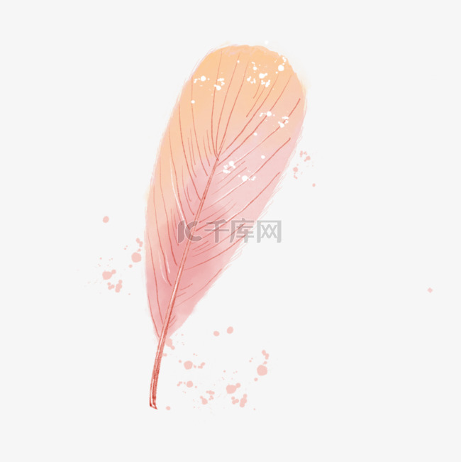 水彩玫瑰金抽象羽毛