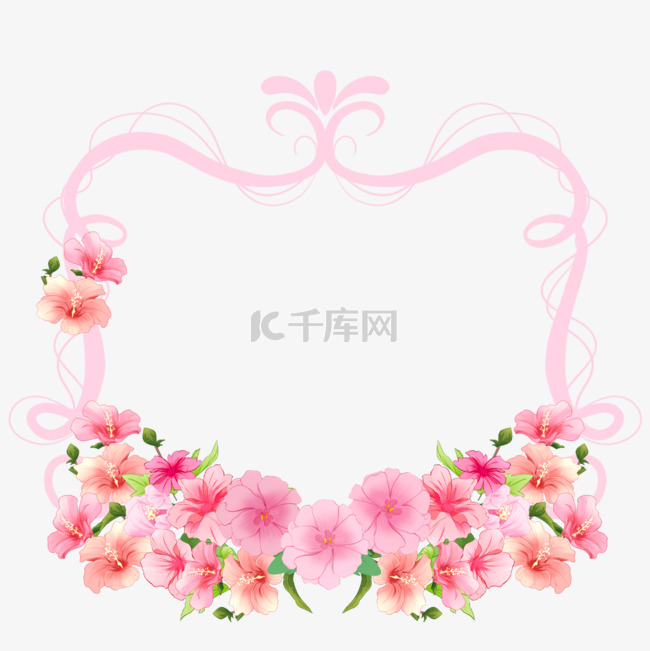粉色条纹边框花卉木槿花