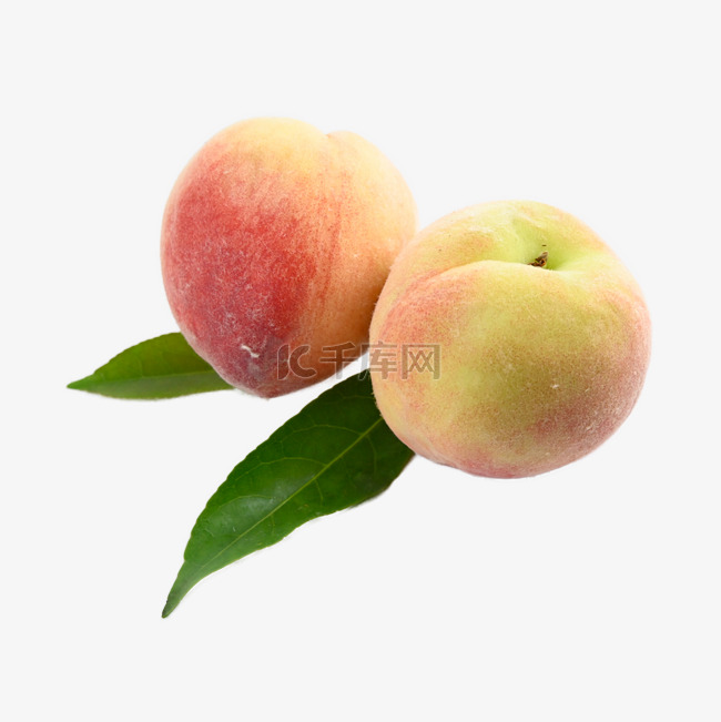 桃子食物植物水果毛桃