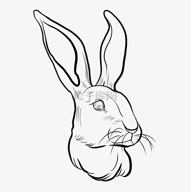 兔头logo线描