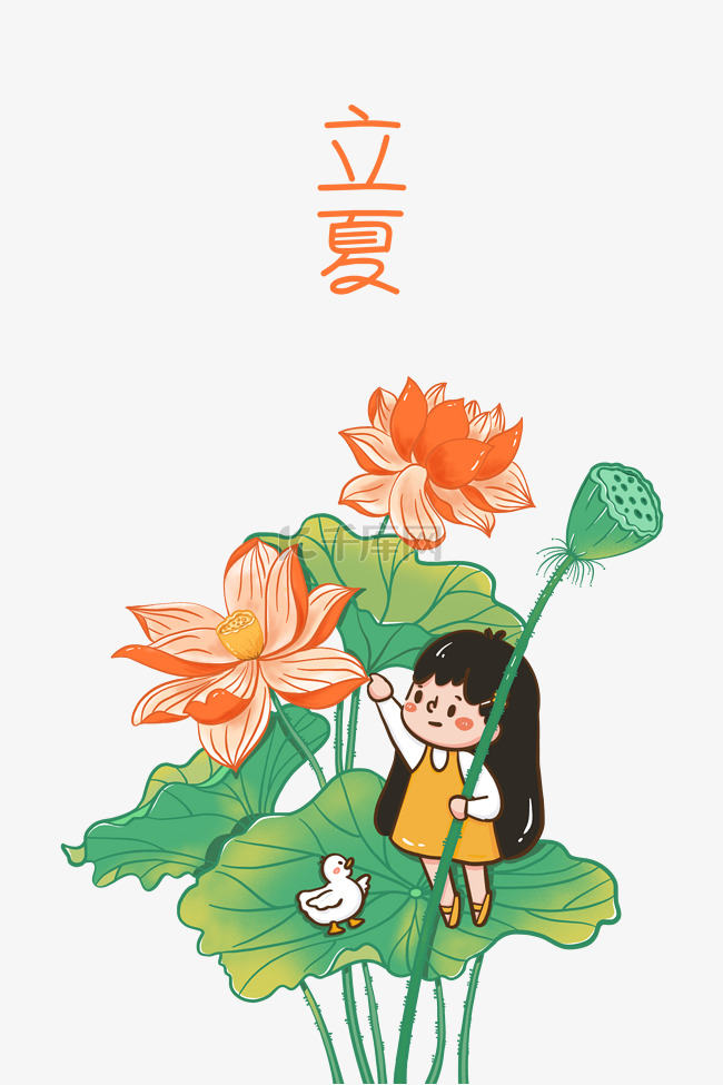 立夏节气荷花与女孩插画