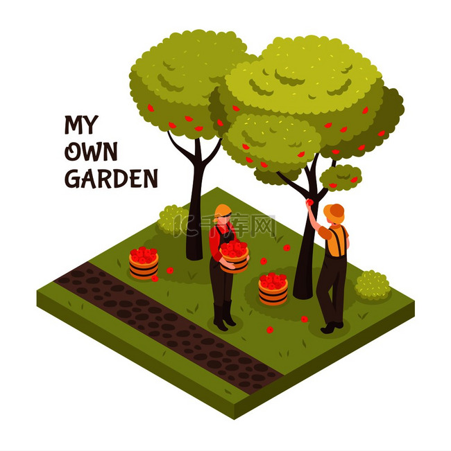 园艺等轴测概念与树木水果和草坪
