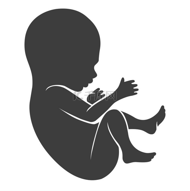 人类胎儿图标在白色背景上隔离的