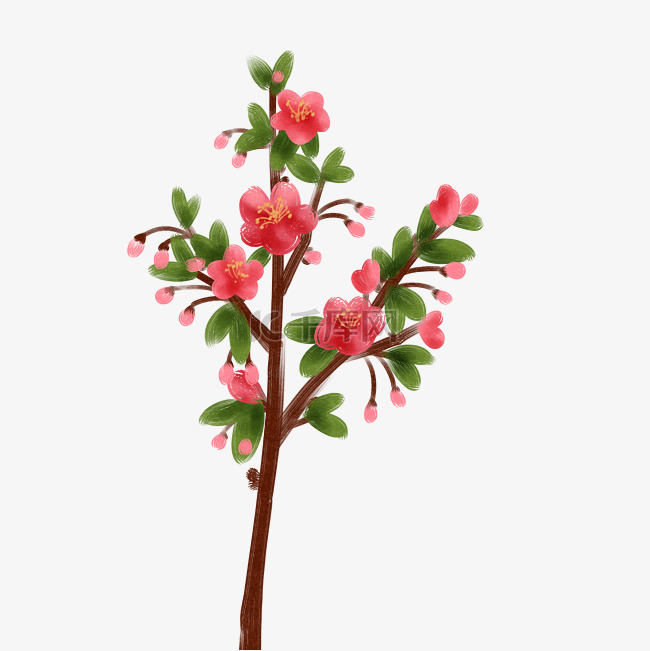 红色海棠花花蕾