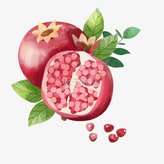 石榴水果水彩风格红色浆果