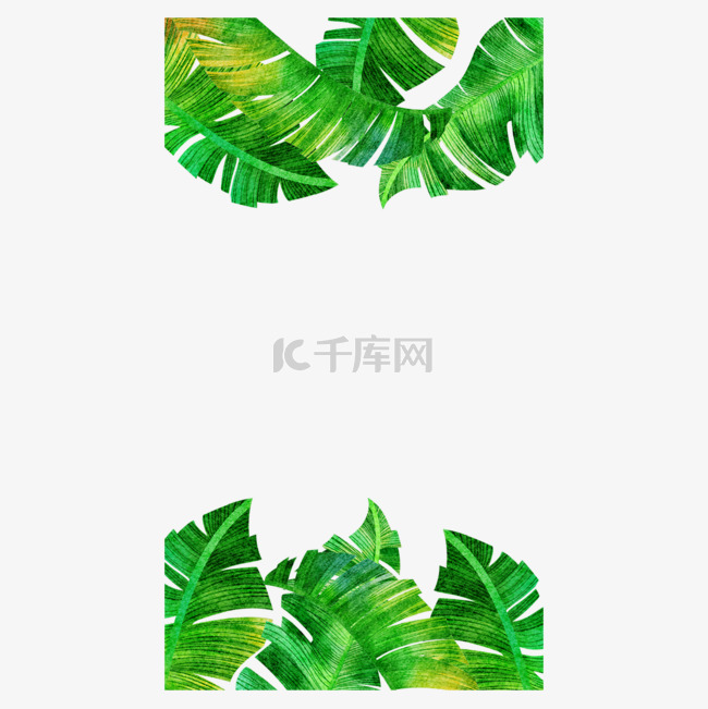 边框水彩热带植物instagram