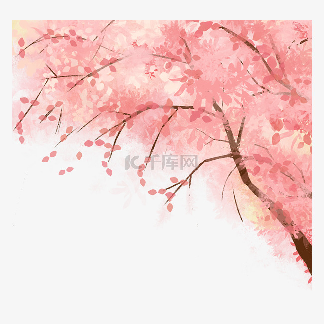 春季植物樱花树