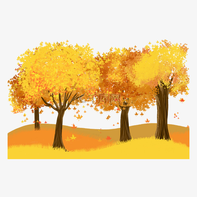 秋分节气飘落树叶秋天秋季树林植