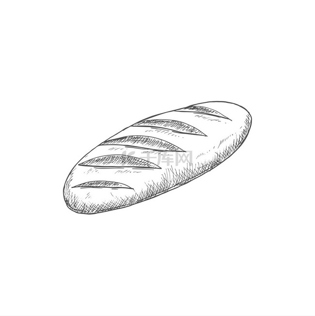 长棍面包或长面包独立糕点食品矢