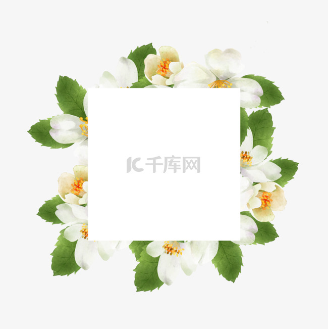 茉莉花边框方形水彩花卉