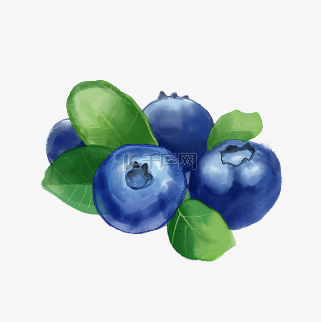 水彩风格水果蓝莓插画