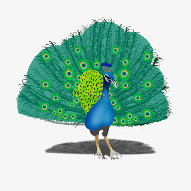 孔雀抽象绿色鸟类动物