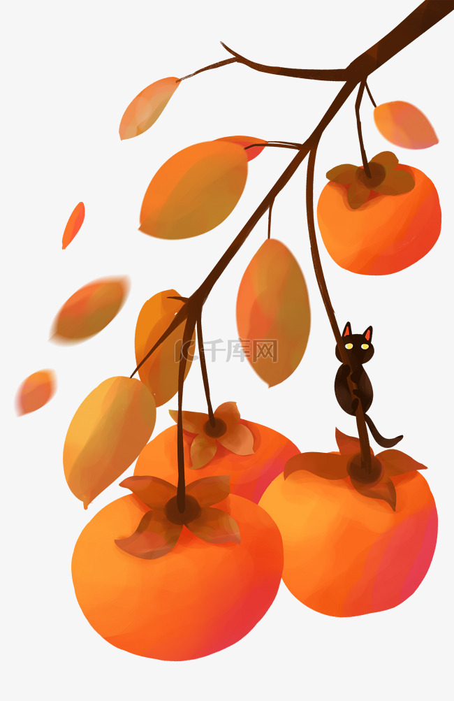 柿子树猫咪秋天