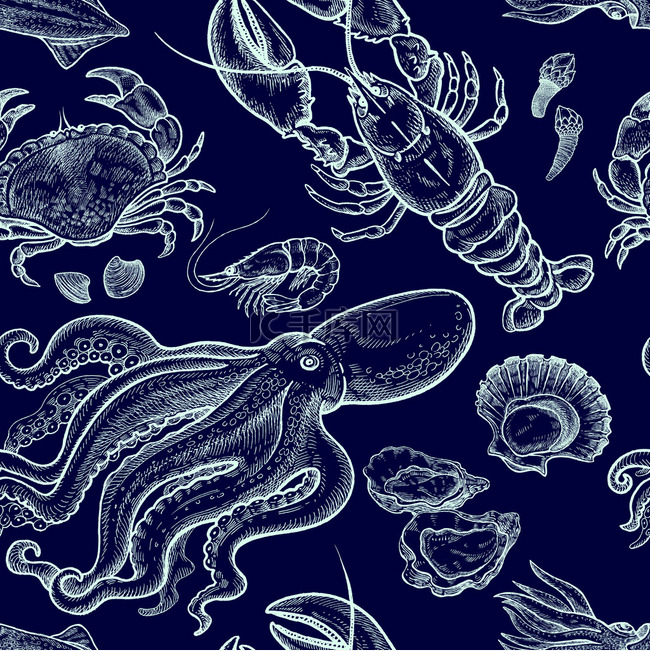 海洋动物的无缝图案.