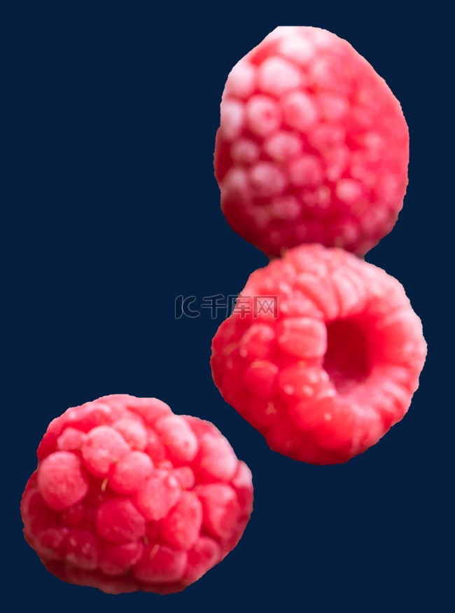 美食水果树莓