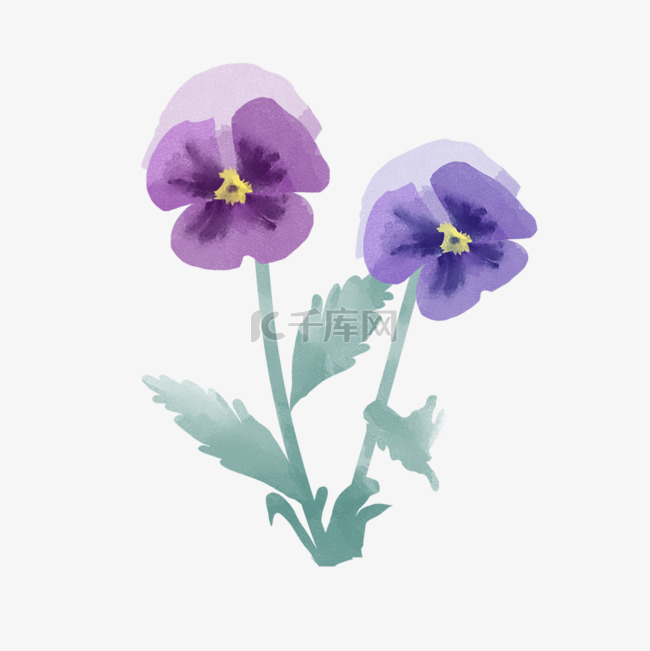 水彩晕染花卉紫色三色堇