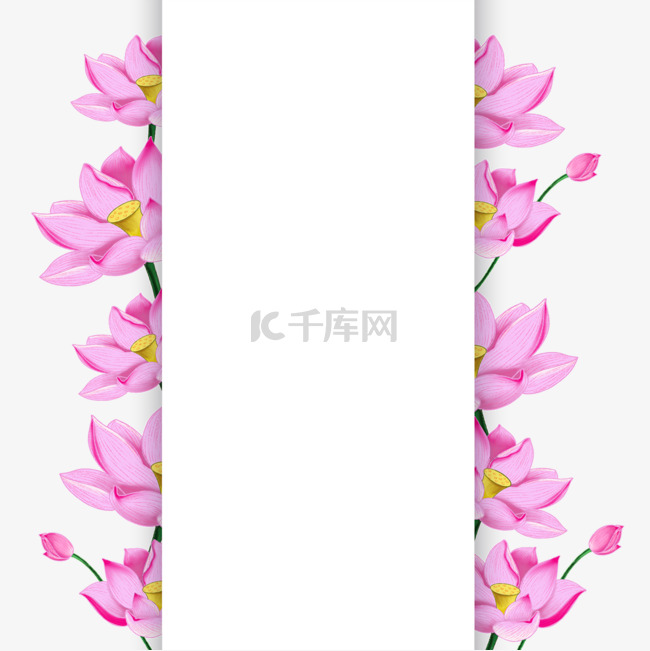粉色水彩荷花花卉边框