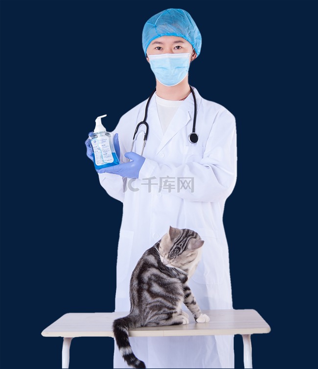 兽医给猫看病