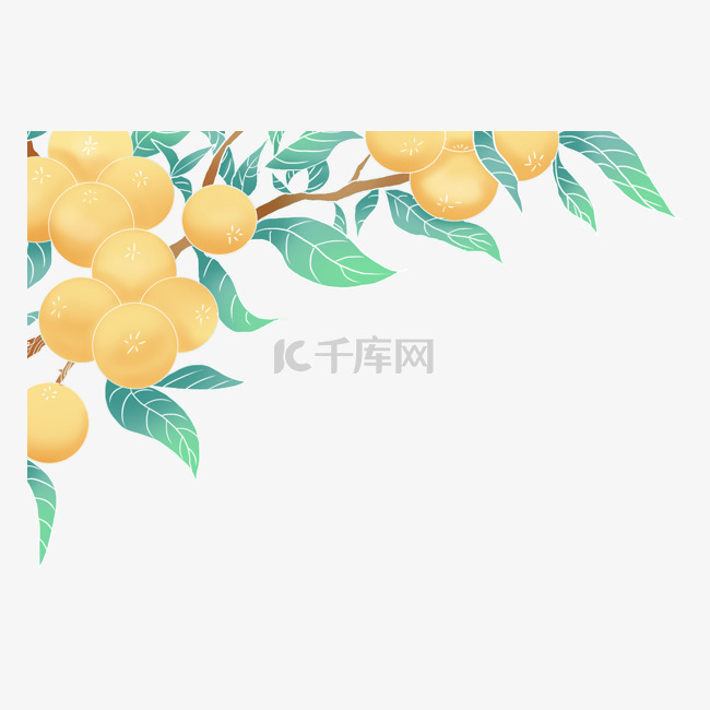 小满初夏黄色芒种枇杷描金