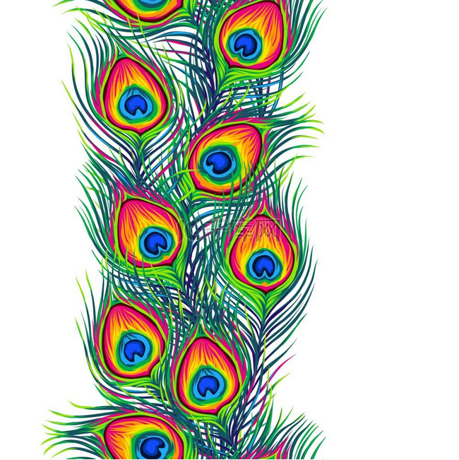 孔雀羽毛无缝图案彩色手绘异国鸟
