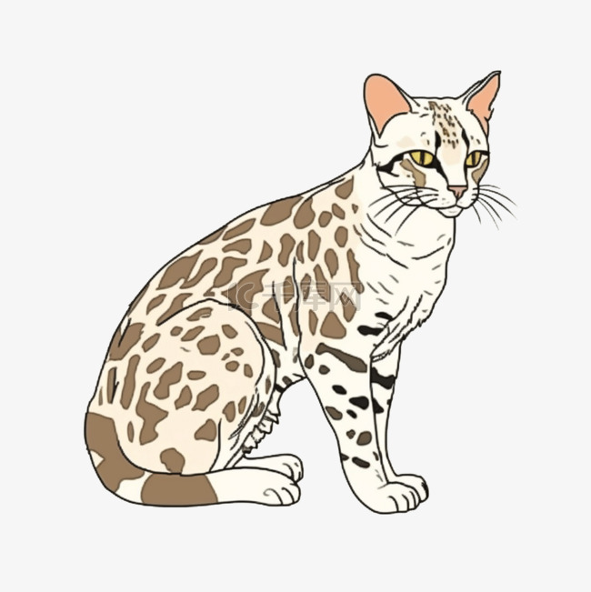 豹猫卡通风格宠物元素
