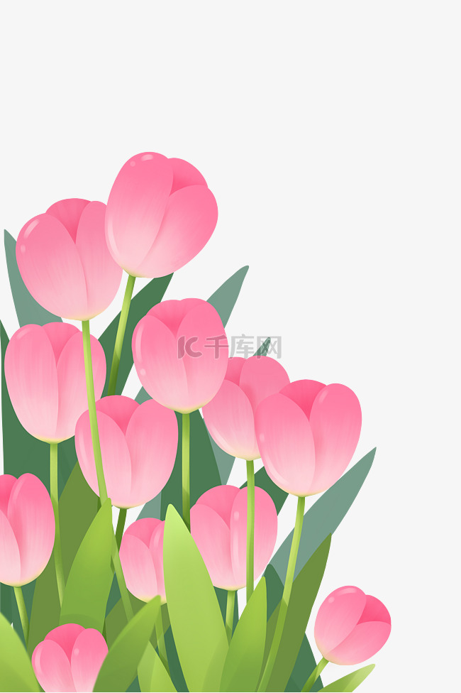 春天粉色郁金香花朵植物卡通手绘